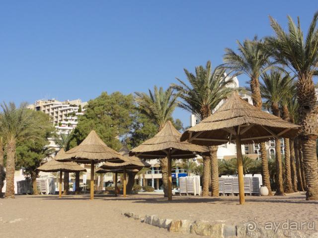 фото Scandic Continental