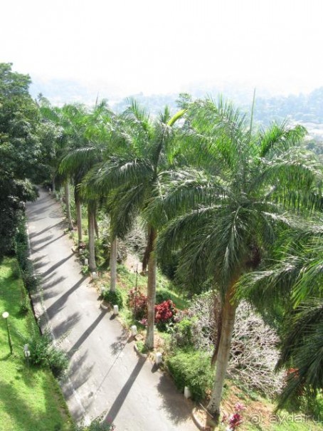 фото Topaz Hotel