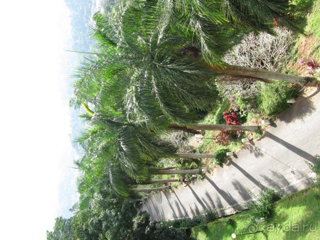 фото Topaz Hotel