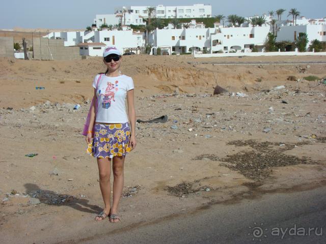 фото Panorama Naama Heights