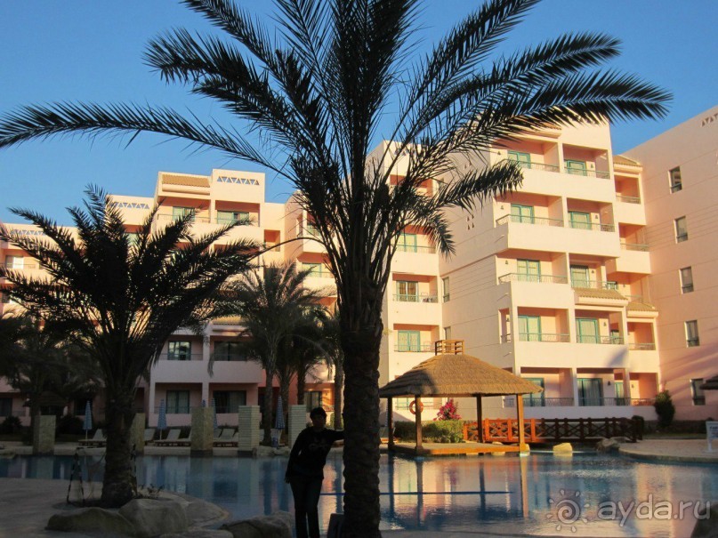 Достойная "тройка" 