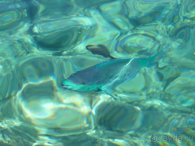 фото Caracas Cumberland