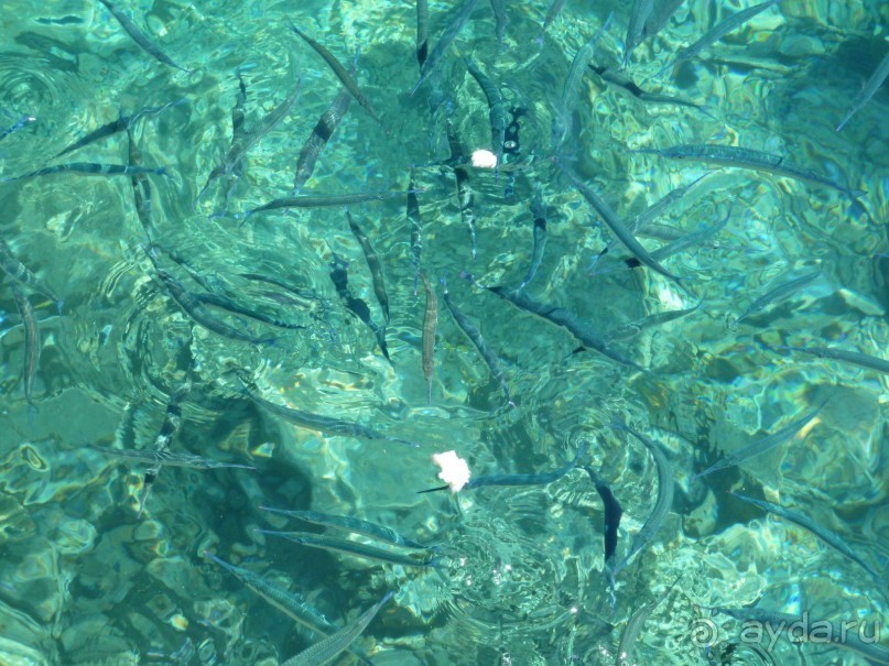 фото Caracas Cumberland