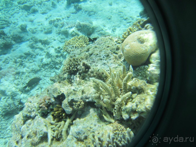 фото Caracas Cumberland