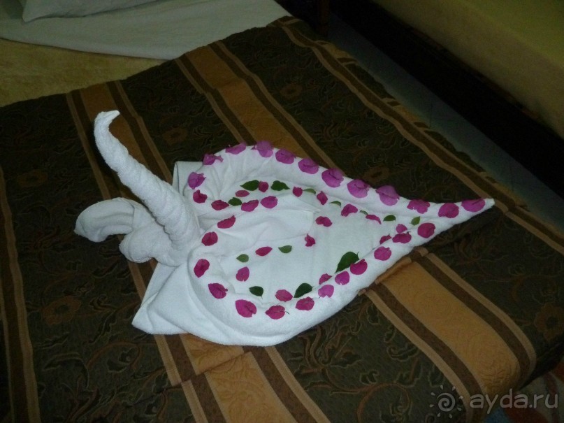 фото Caracas Cumberland