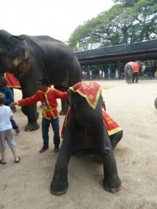 фото Jomtien Palm Beach