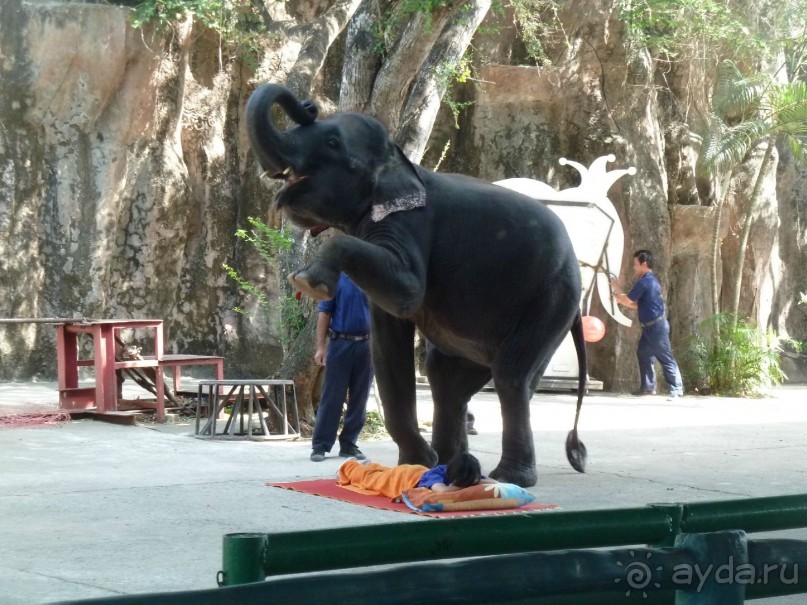 фото Jomtien Palm Beach