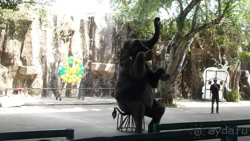 фото Jomtien Palm Beach