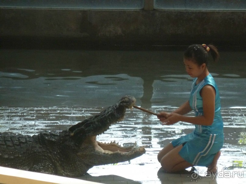 Очень хорошая "четвёрка"