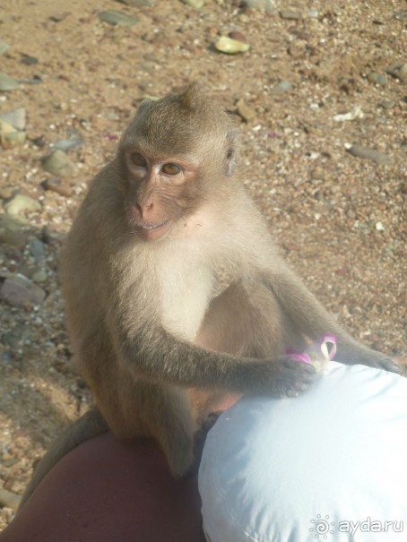 мы начинаем сердиться...