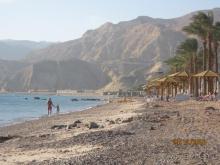 Мовенпик-Таба