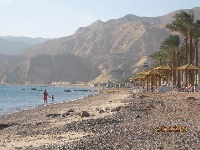 Мовенпик-Таба