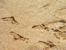 В Юркино очень хороший отдых