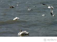 В Юркино очень хороший отдых