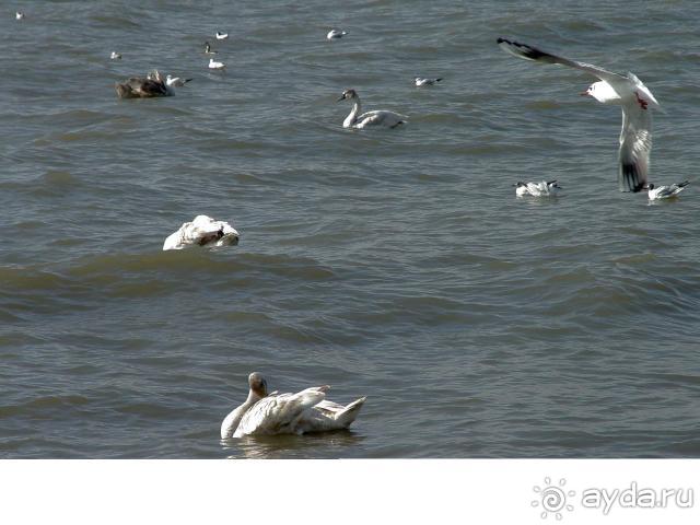 В Юркино очень хороший отдых