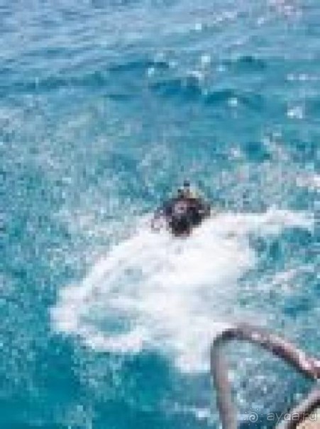 фото Magic World Sharm