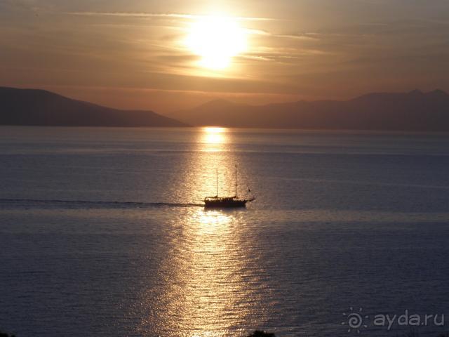 фото Feye Pinara