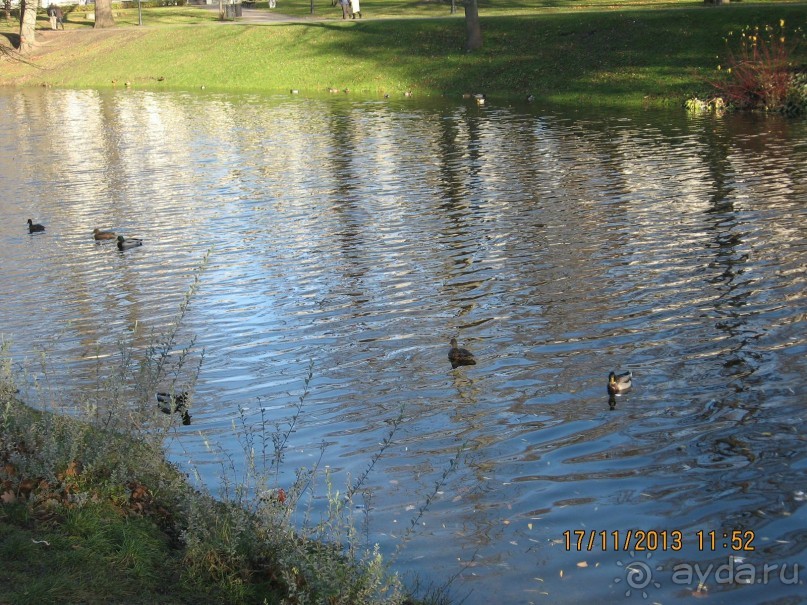 ДЕНЬ  РОЖДЕНИЯ  В  РИГЕ