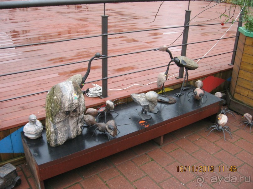 ДЕНЬ  РОЖДЕНИЯ  В  РИГЕ