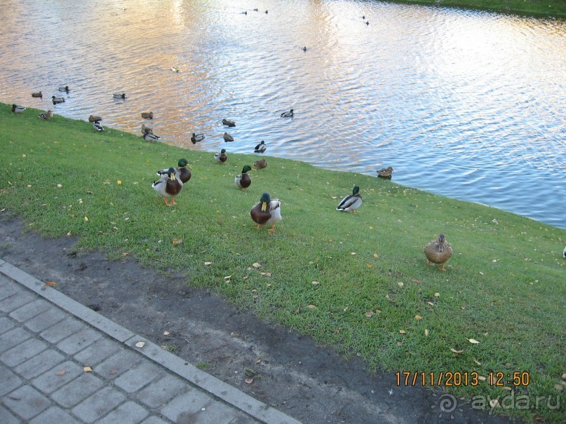 ДЕНЬ  РОЖДЕНИЯ  В  РИГЕ