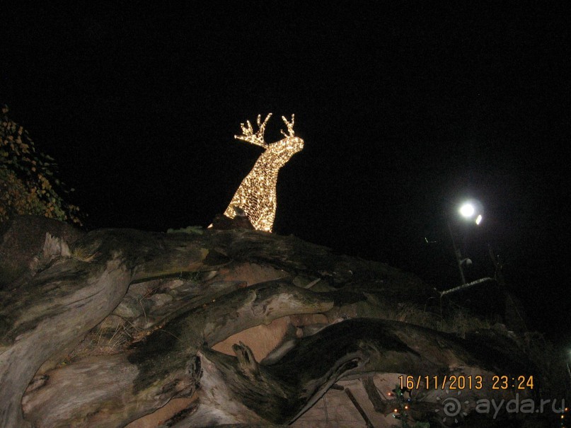 ДЕНЬ  РОЖДЕНИЯ  В  РИГЕ