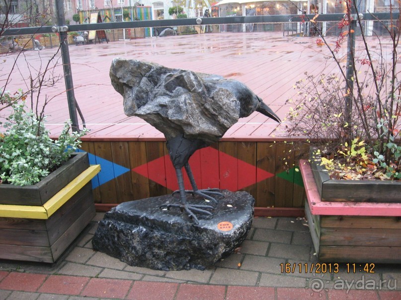 ДЕНЬ  РОЖДЕНИЯ  В  РИГЕ