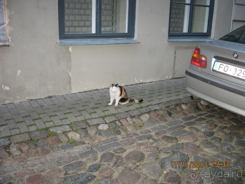 ДЕНЬ  РОЖДЕНИЯ  В  РИГЕ