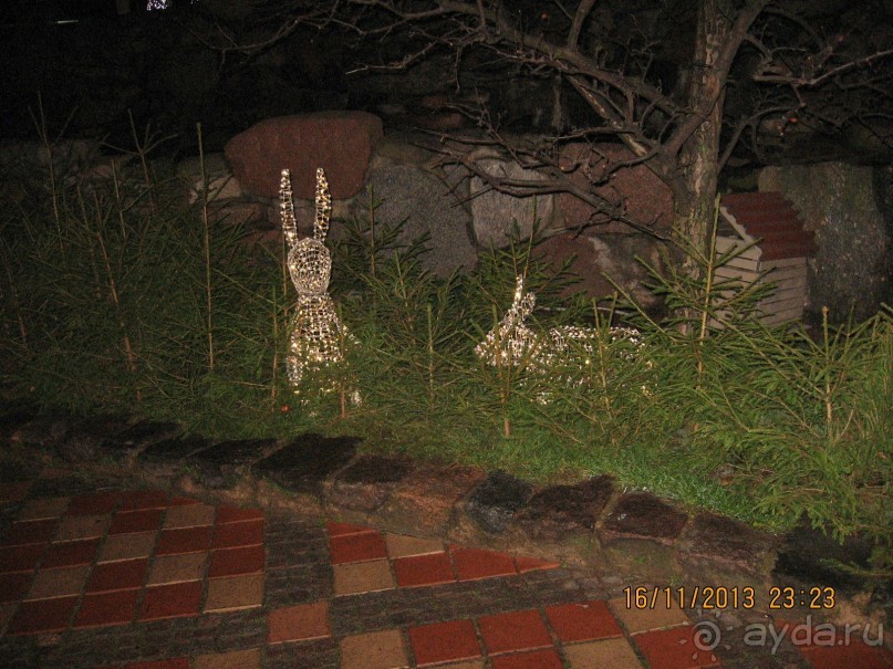 ДЕНЬ  РОЖДЕНИЯ  В  РИГЕ