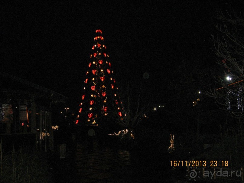 ДЕНЬ  РОЖДЕНИЯ  В  РИГЕ