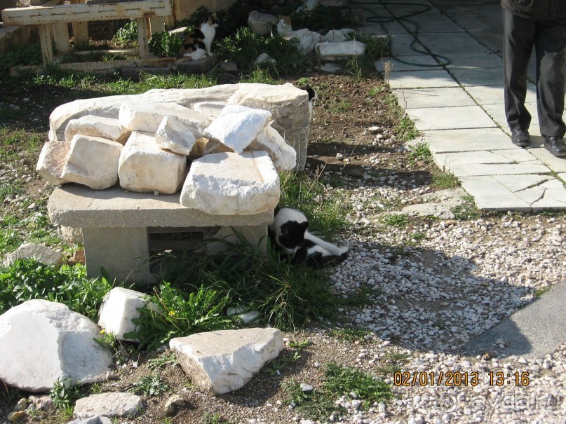 Новый год в Афинах – да или нет?