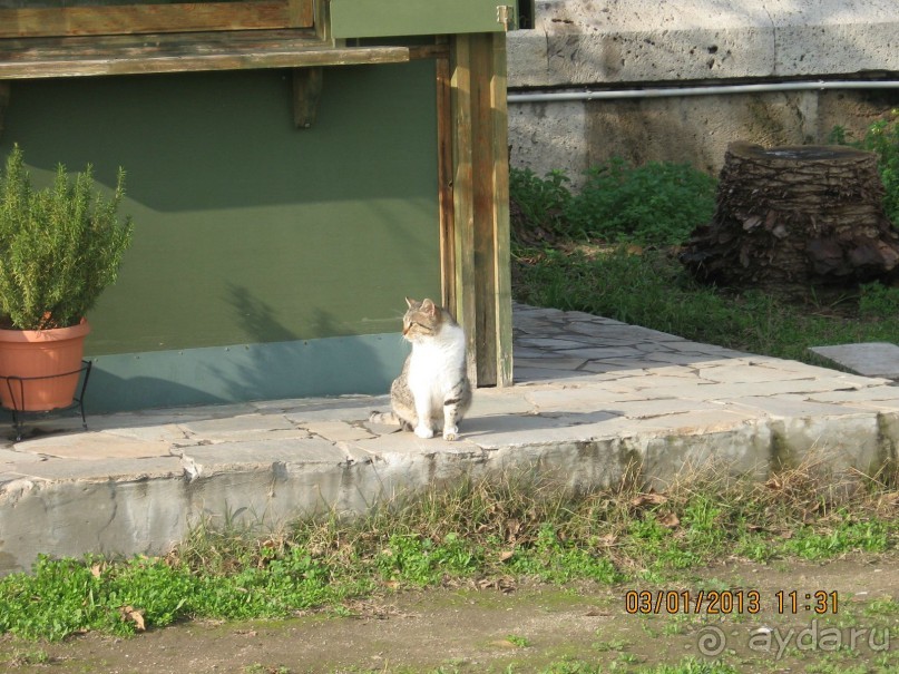 Новый год в Афинах – да или нет?