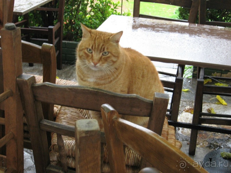 Новый год в Афинах – да или нет?