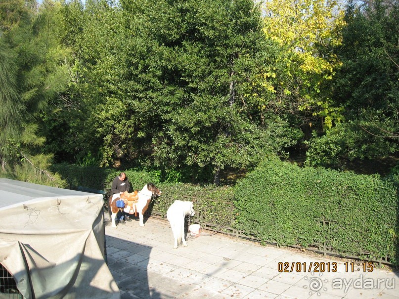 Новый год в Афинах – да или нет?