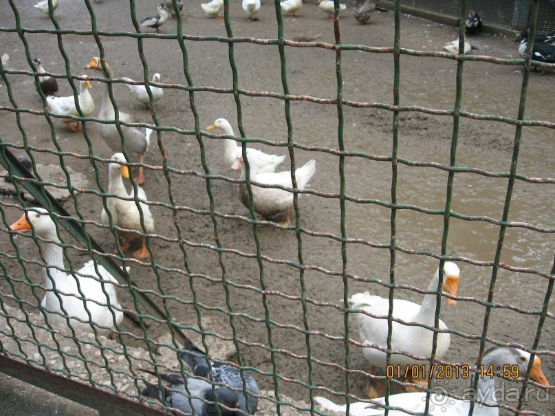 Новый год в Афинах – да или нет?