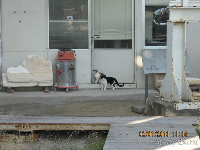 Новый год в Афинах – да или нет?