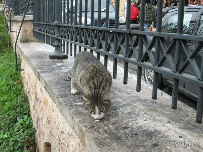 Новый год в Афинах – да или нет?