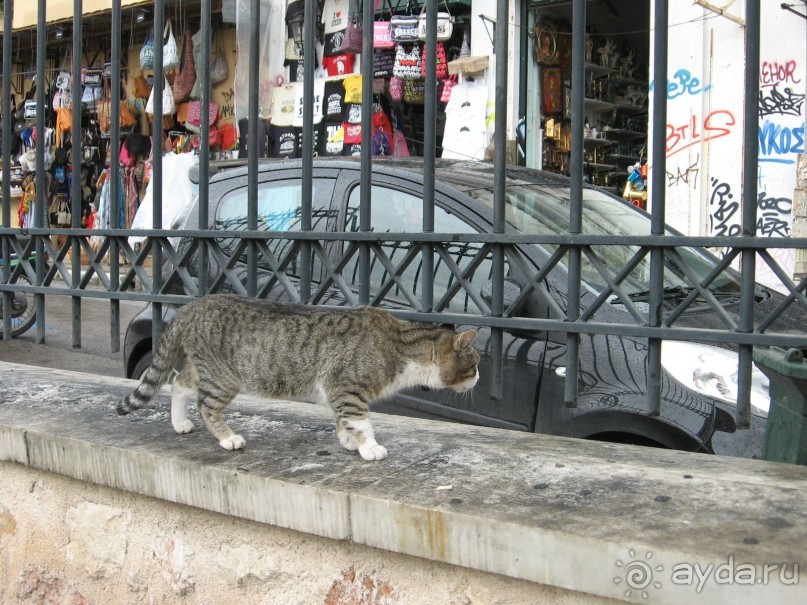 Новый год в Афинах – да или нет?