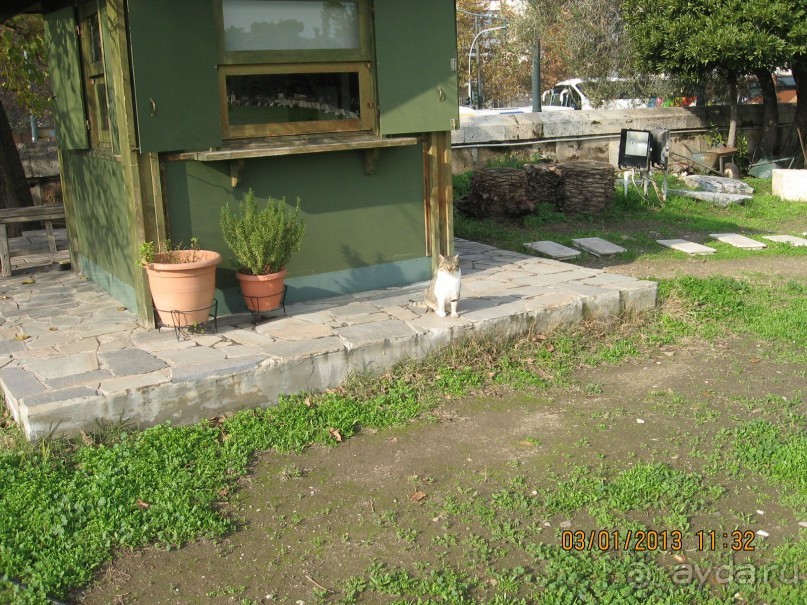 Новый год в Афинах – да или нет?