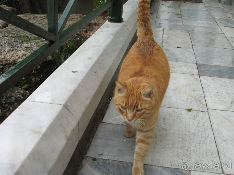 Новый год в Афинах – да или нет?