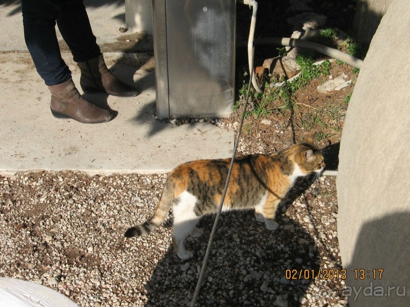 Новый год в Афинах – да или нет?