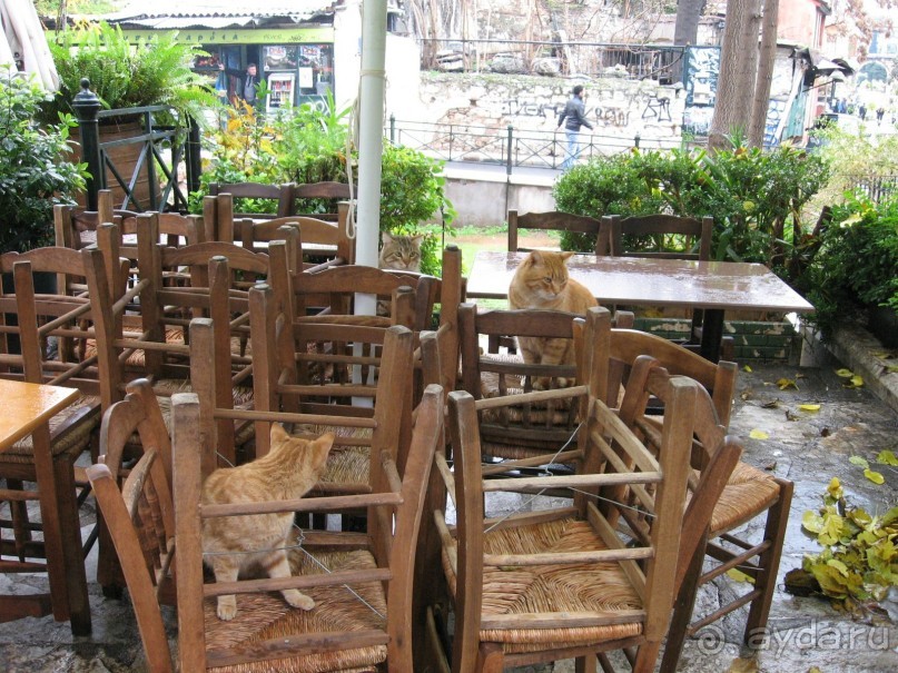 Новый год в Афинах – да или нет?