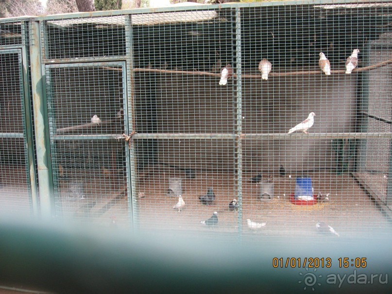 Новый год в Афинах – да или нет?