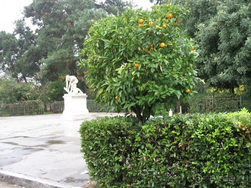 Новый год в Афинах – да или нет?