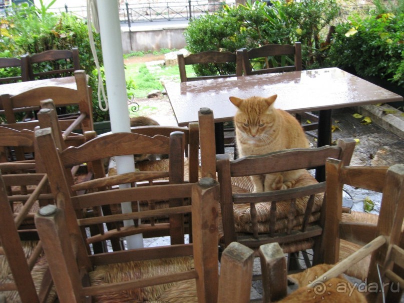 Новый год в Афинах – да или нет?