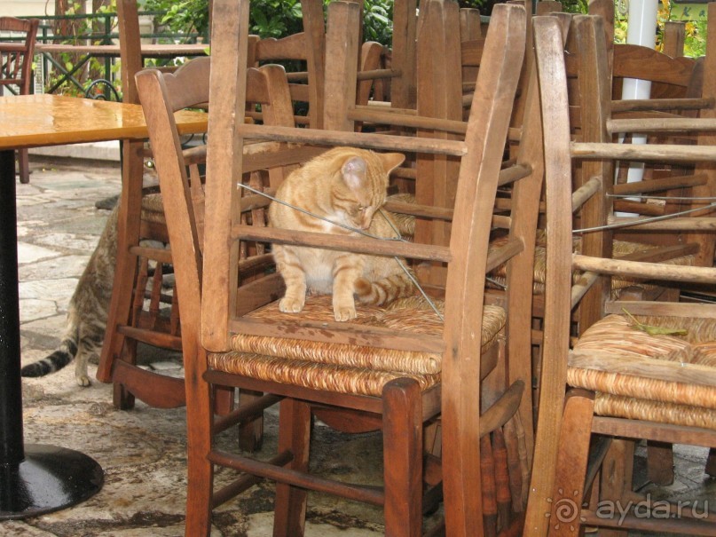 Новый год в Афинах – да или нет?