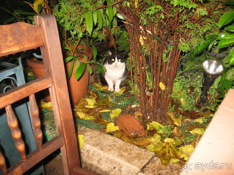 Новый год в Афинах – да или нет?