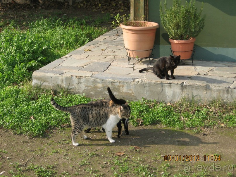 Новый год в Афинах – да или нет?