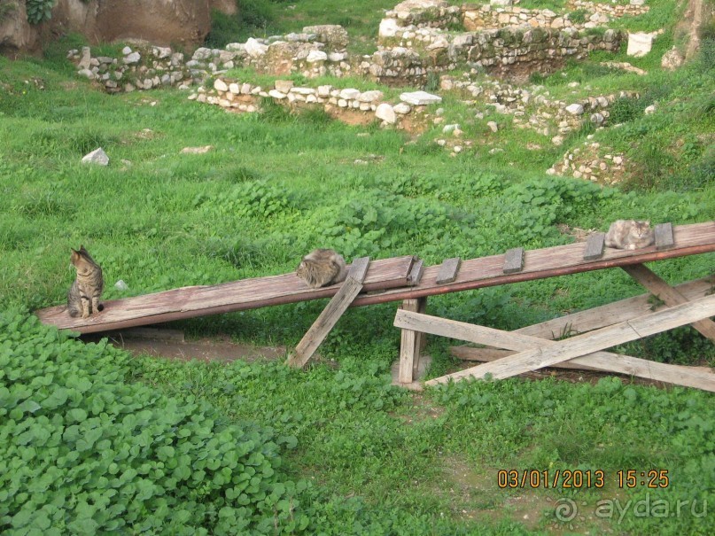 Новый год в Афинах – да или нет?