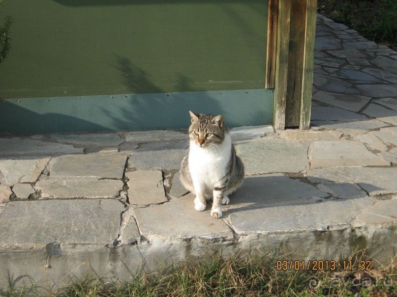 Новый год в Афинах – да или нет?