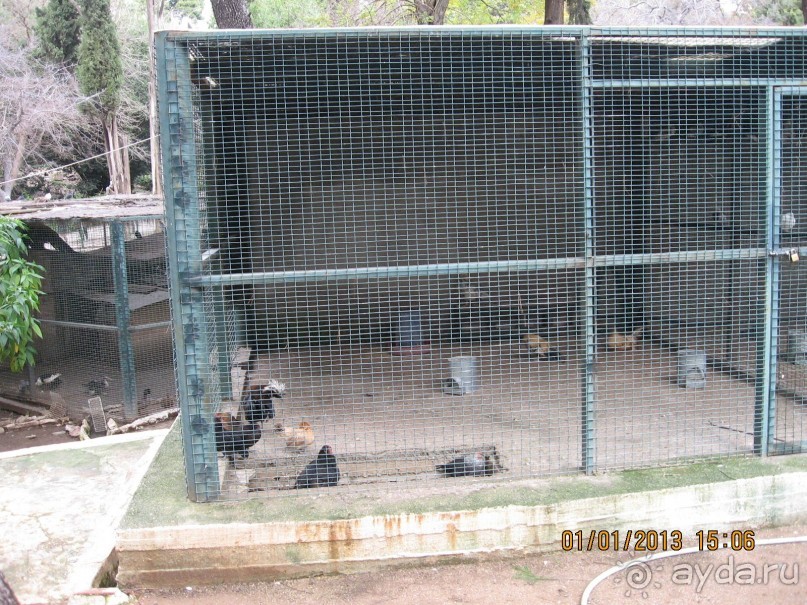 Новый год в Афинах – да или нет?